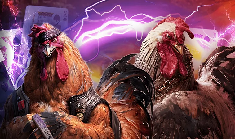 Điểm nổi bật của Đá Gà PKWIN