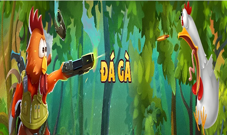 Khám phá Đá Gà PKWIN: Sân chơi cá cược trực tuyến hàng đầu Việt Nam