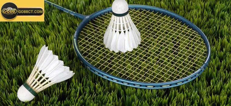 Hướng Dẫn Chi Tiết Cá Cược Cầu Lông Go88 Cho Người Mới 9 Cược Cầu Lông Go88