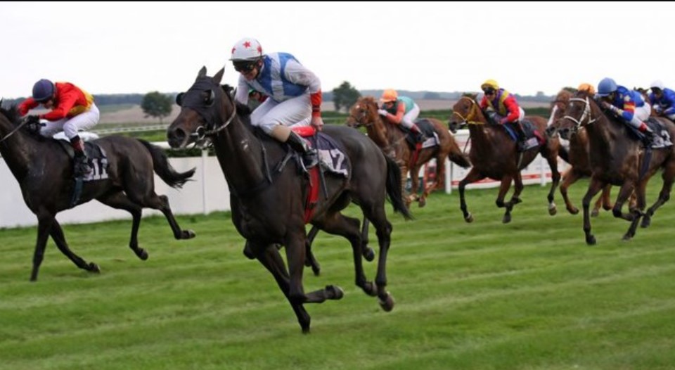 Khám Phá Cá Cược Đua Ngựa 8DAY: Hành Trình Thắng Lớn 2 Bí Quyết Thành Công Khi Cá Cược Tại 8DAY