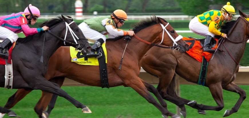 Khám Phá Cá Cược Đua Ngựa 8DAY: Hành Trình Thắng Lớn 3 Đua Ngựa 8DAY